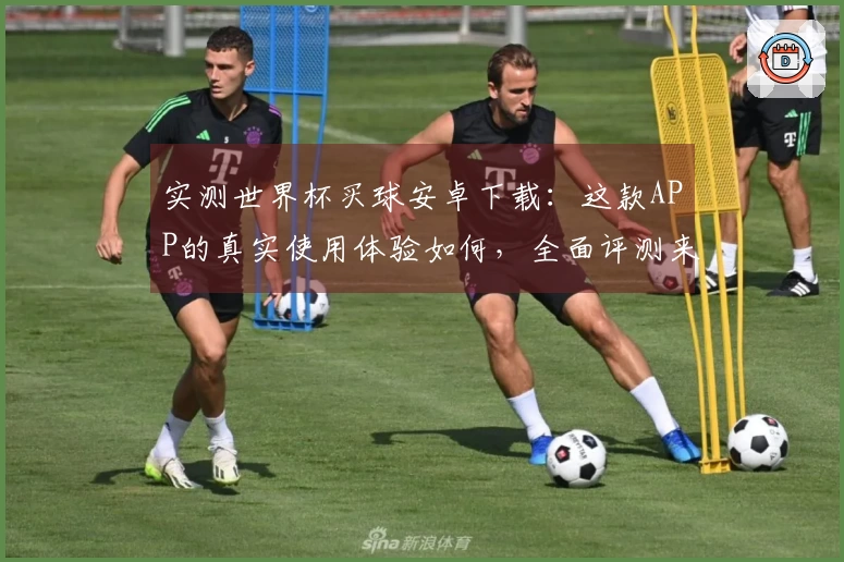 实测世界杯买球安卓下载：这款APP的真实使用体验如何，全面评测来了