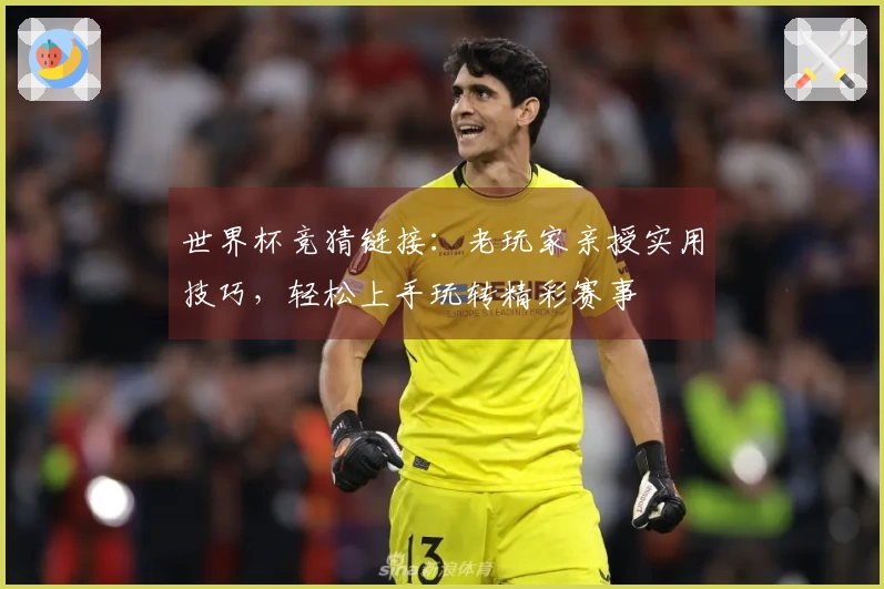世界杯竞猜链接：老玩家亲授实用技巧，轻松上手玩转精彩赛事