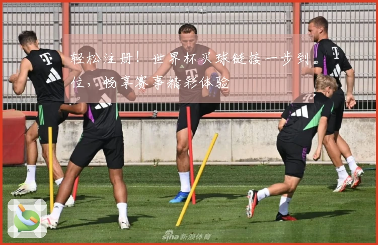 轻松注册！世界杯买球链接一步到位，畅享赛事精彩体验