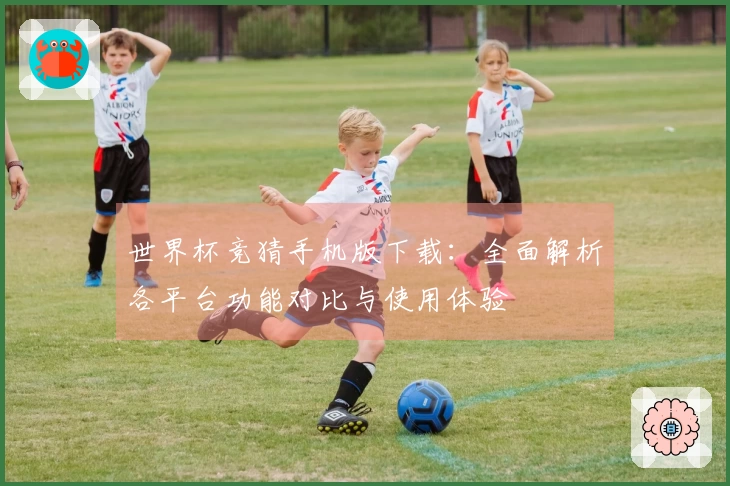 世界杯竞猜手机版下载：全面解析各平台功能对比与使用体验