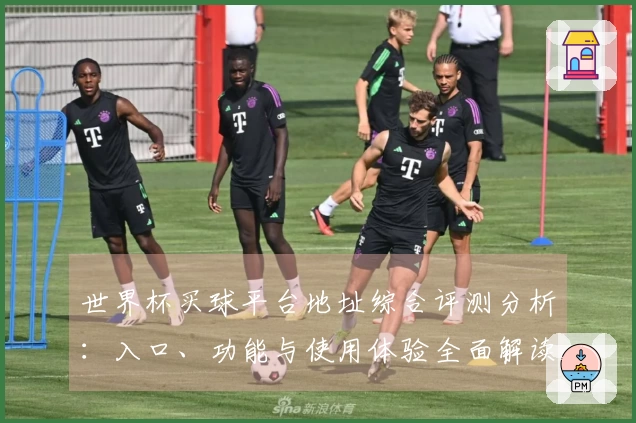 世界杯买球平台地址综合评测分析：入口、功能与使用体验全面解读